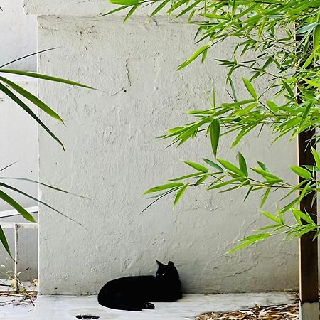 Lisbon Guests Apartments Bagian luar foto