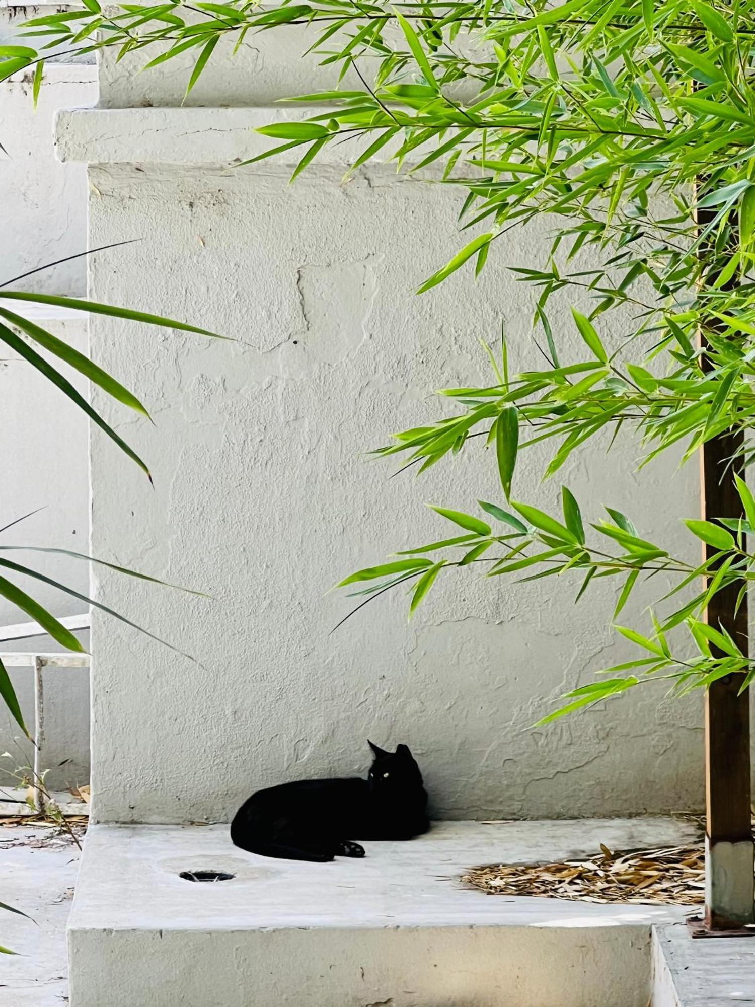 Lisbon Guests Apartments Bagian luar foto